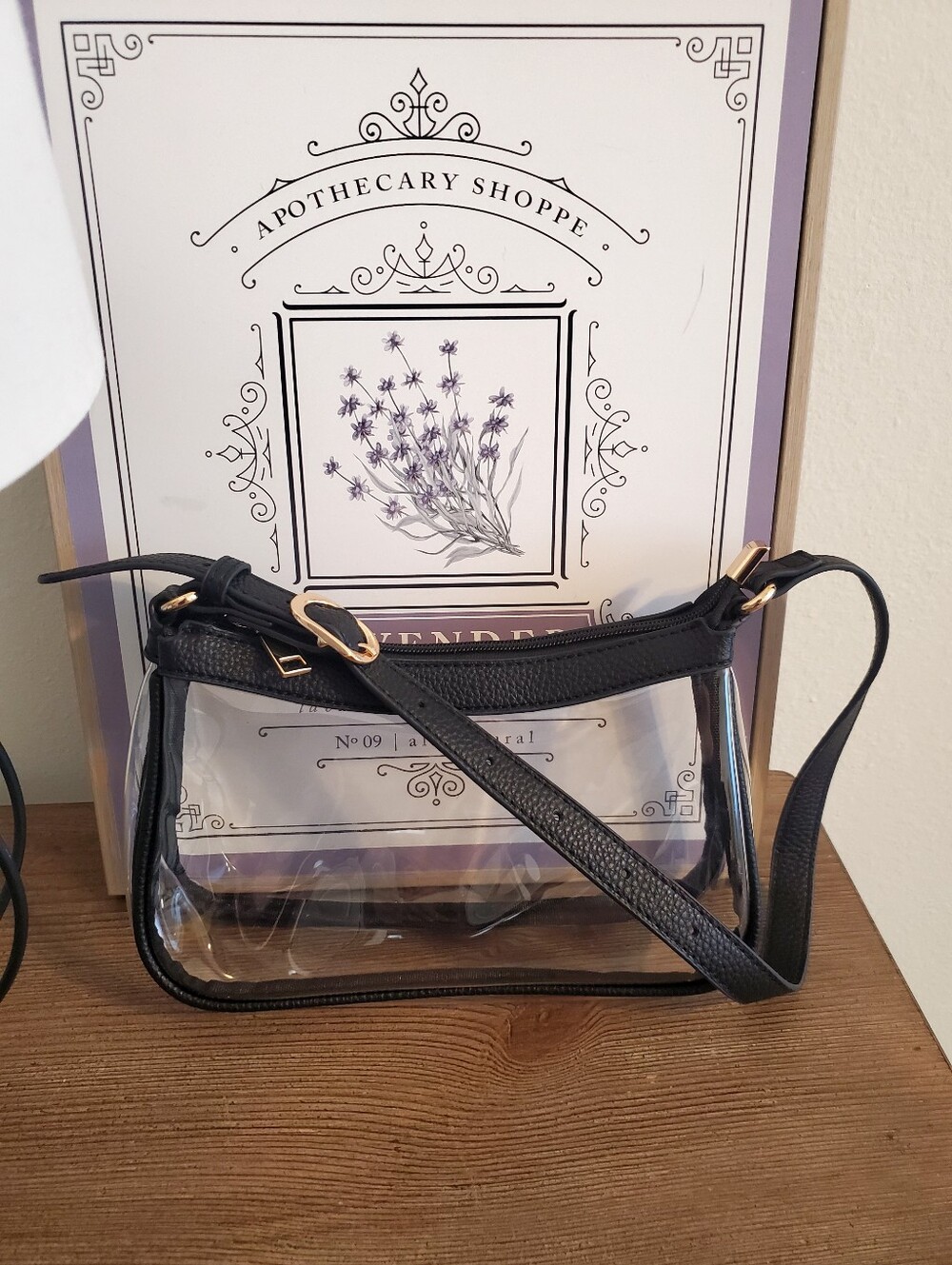 Clear Purse with Black Trim and Gold Zipper Details - For Stadium Concert Events